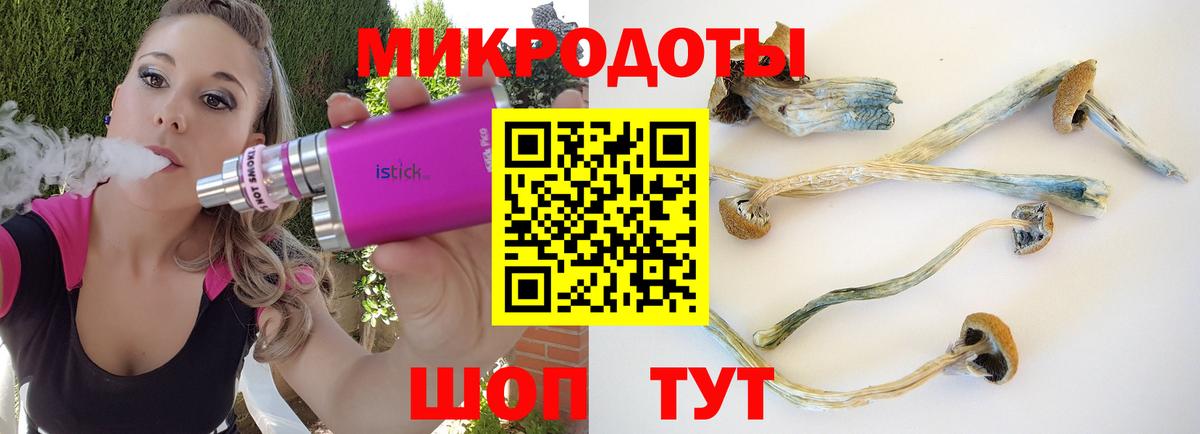 Гусиноозёрск  Галлюциногенные грибы мицелий  Галлюциногенные грибы GOLDEN TEACHER  Вход с VPN 